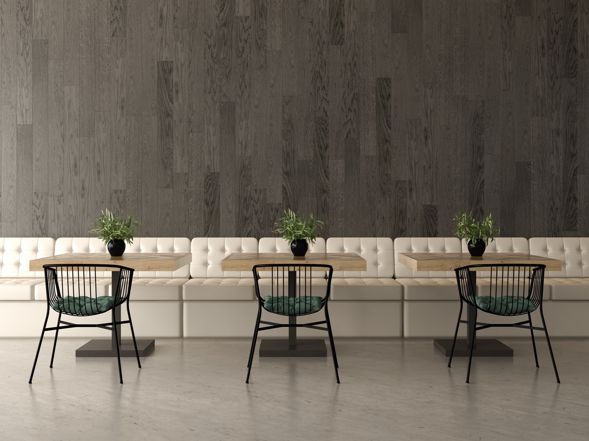 Interior Remodel